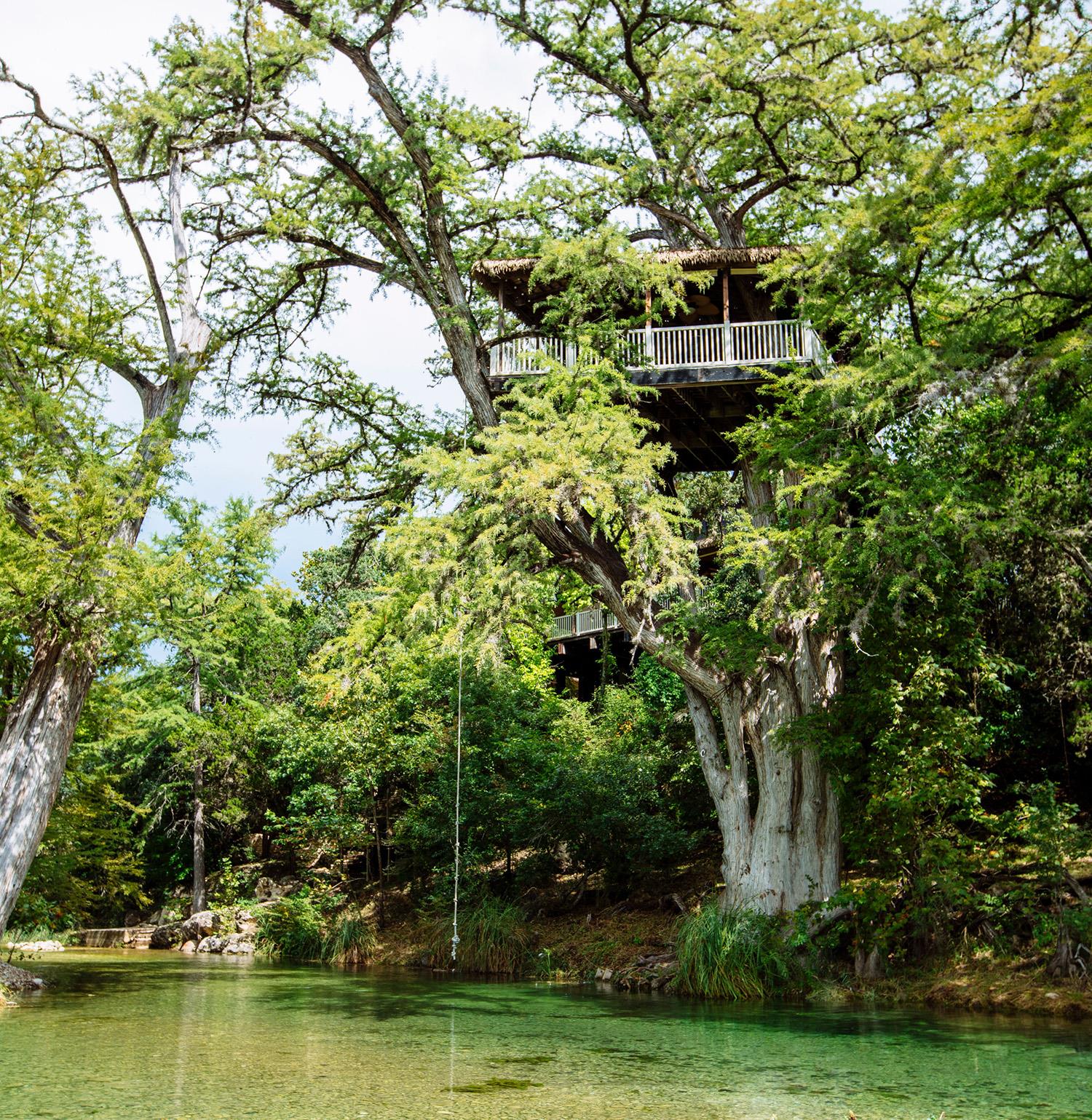 house-above-river-in-tree.jpg